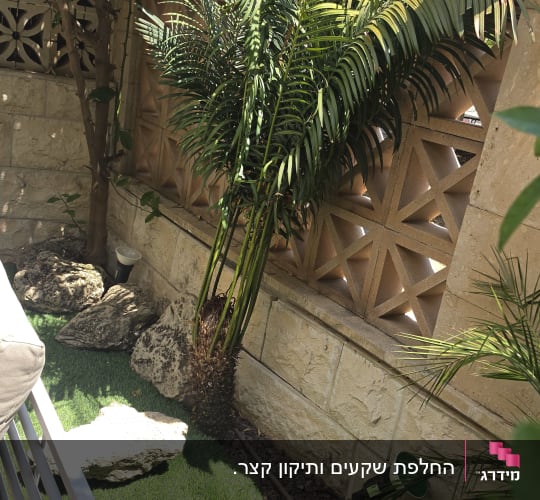 גינה עם צמחייה וקיר אבן